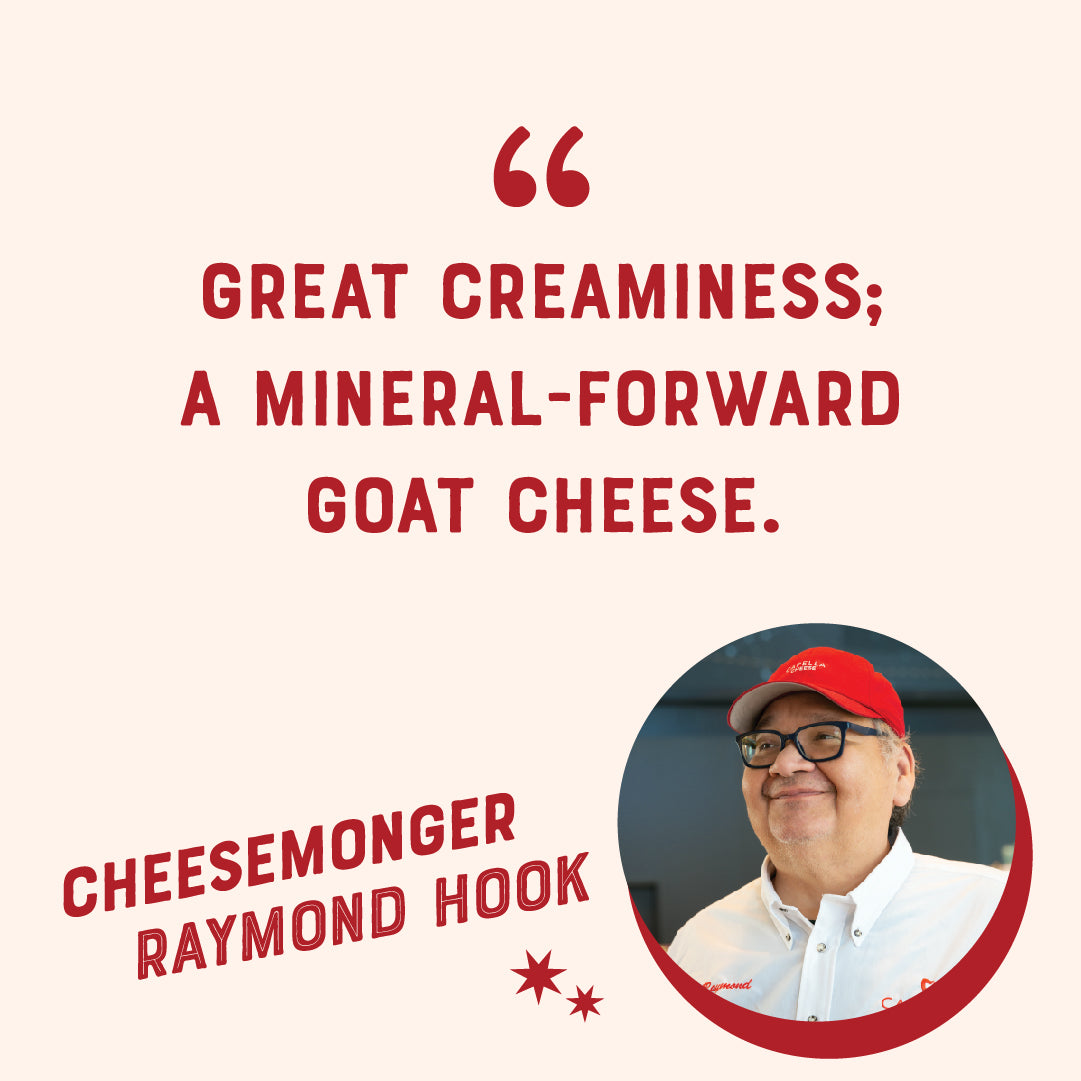 Brabander Goat Gouda