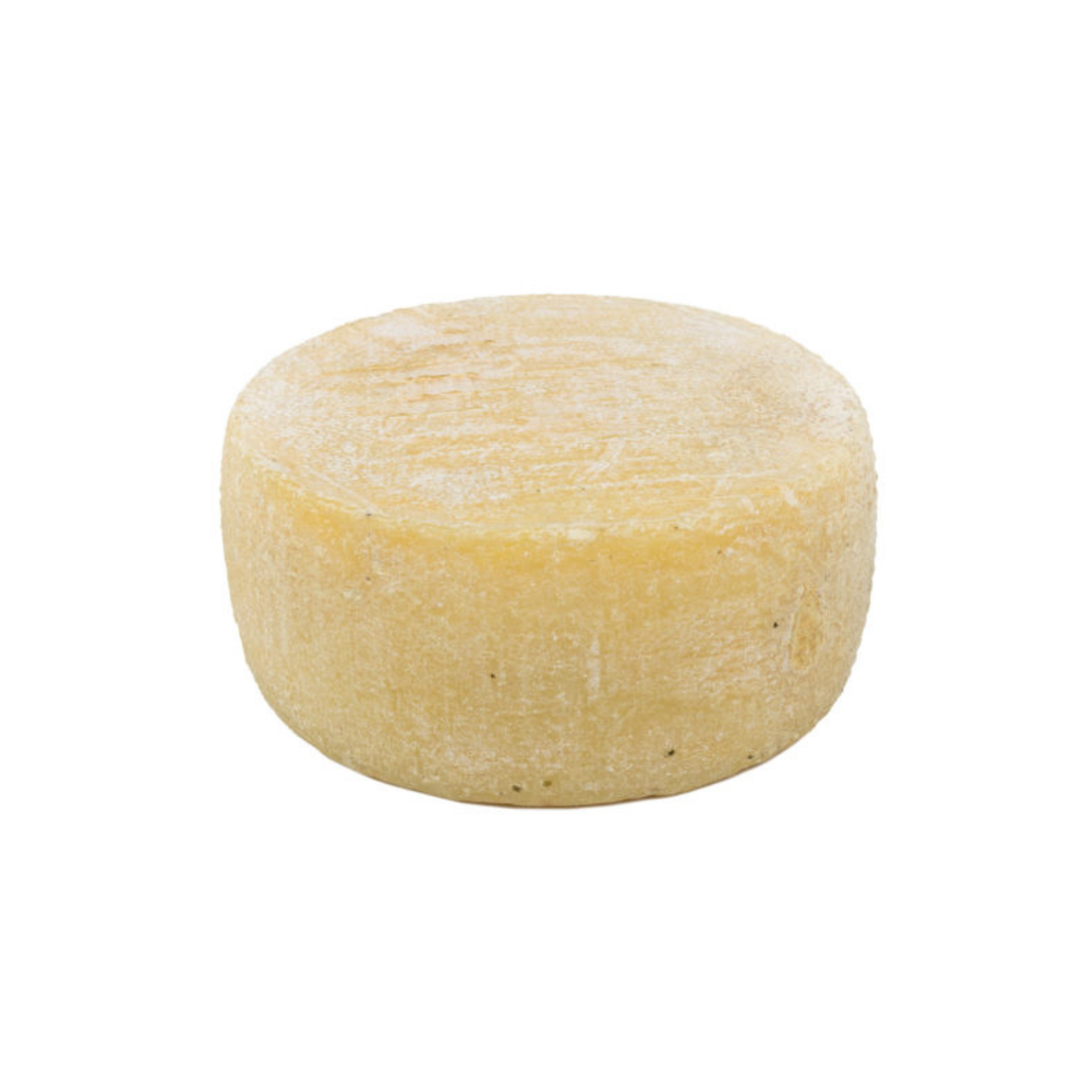 Pecorino Maremmano