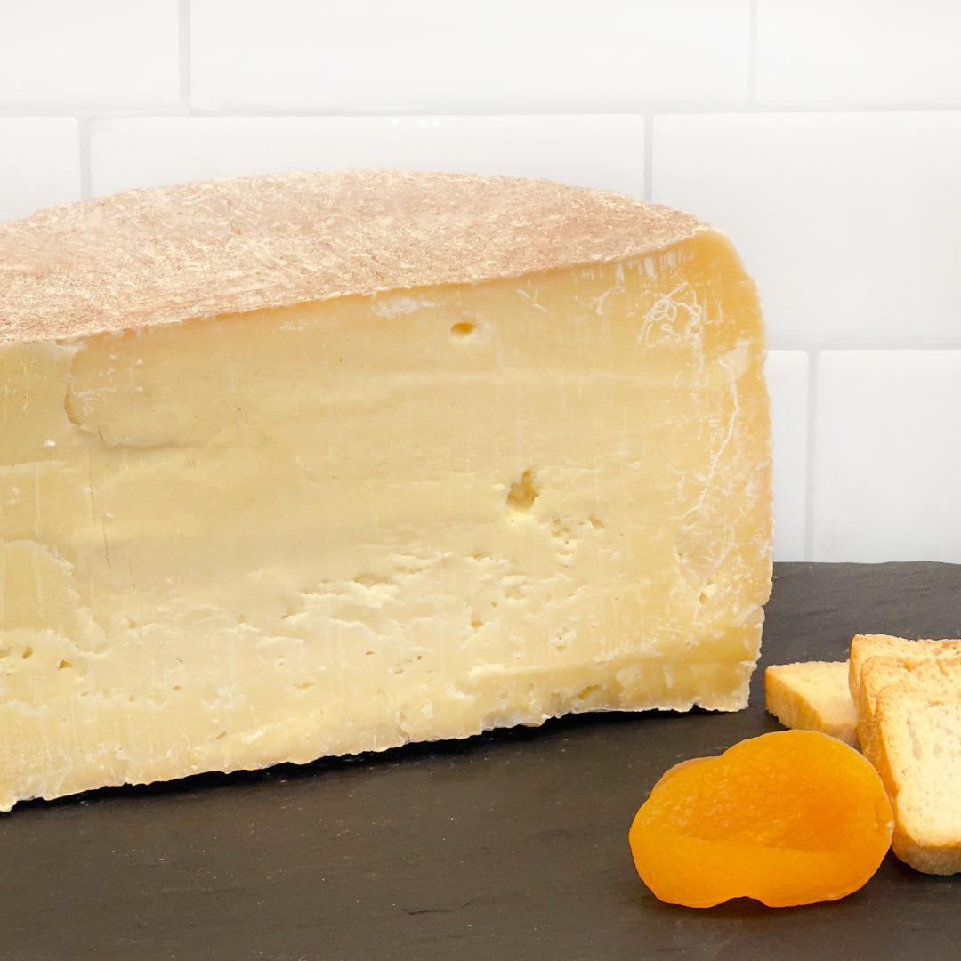 Nightshade - Tulip Tree