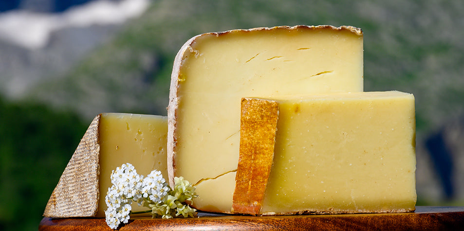 7 Most Interesting Swiss Cheeses