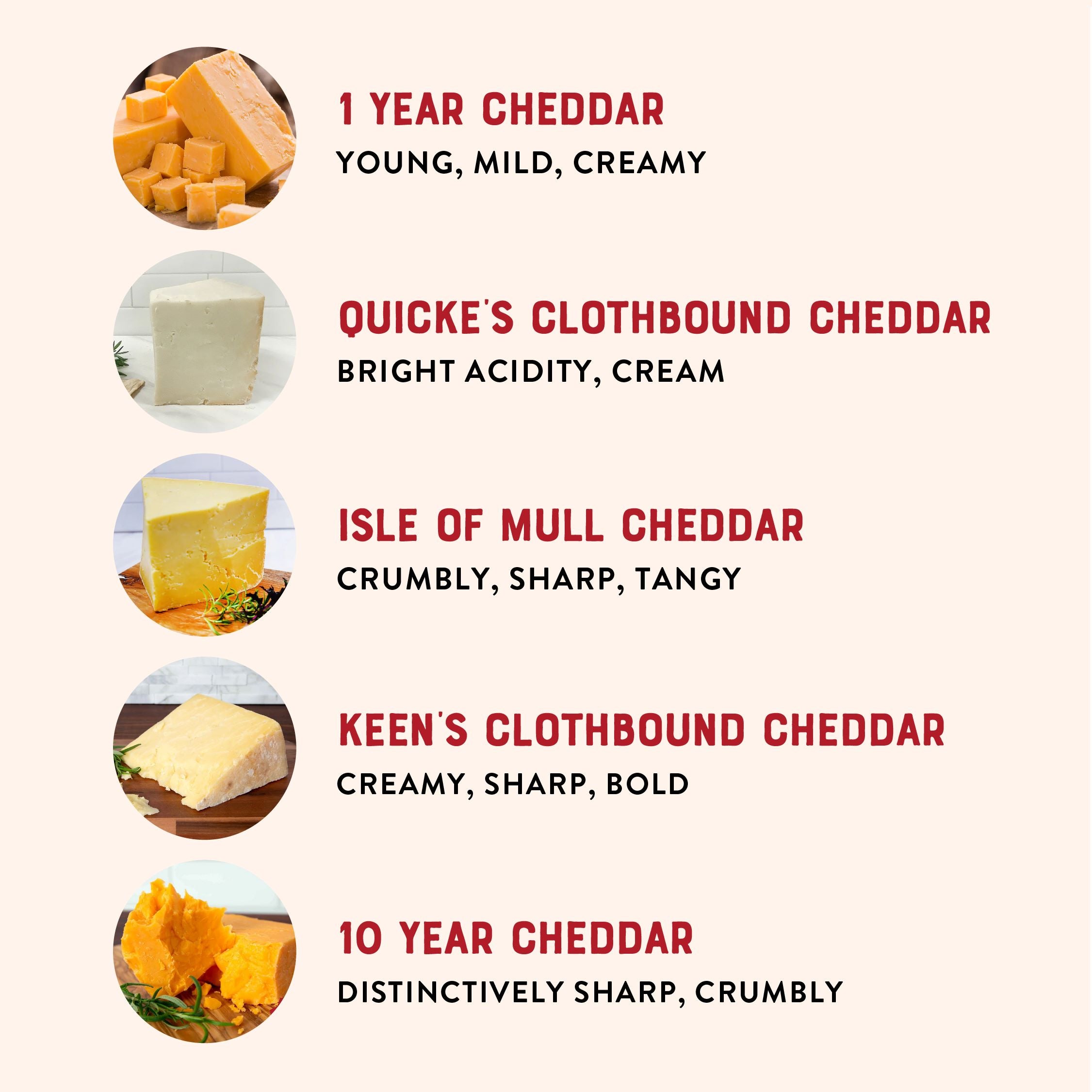 Curated cheddar collection cheeses