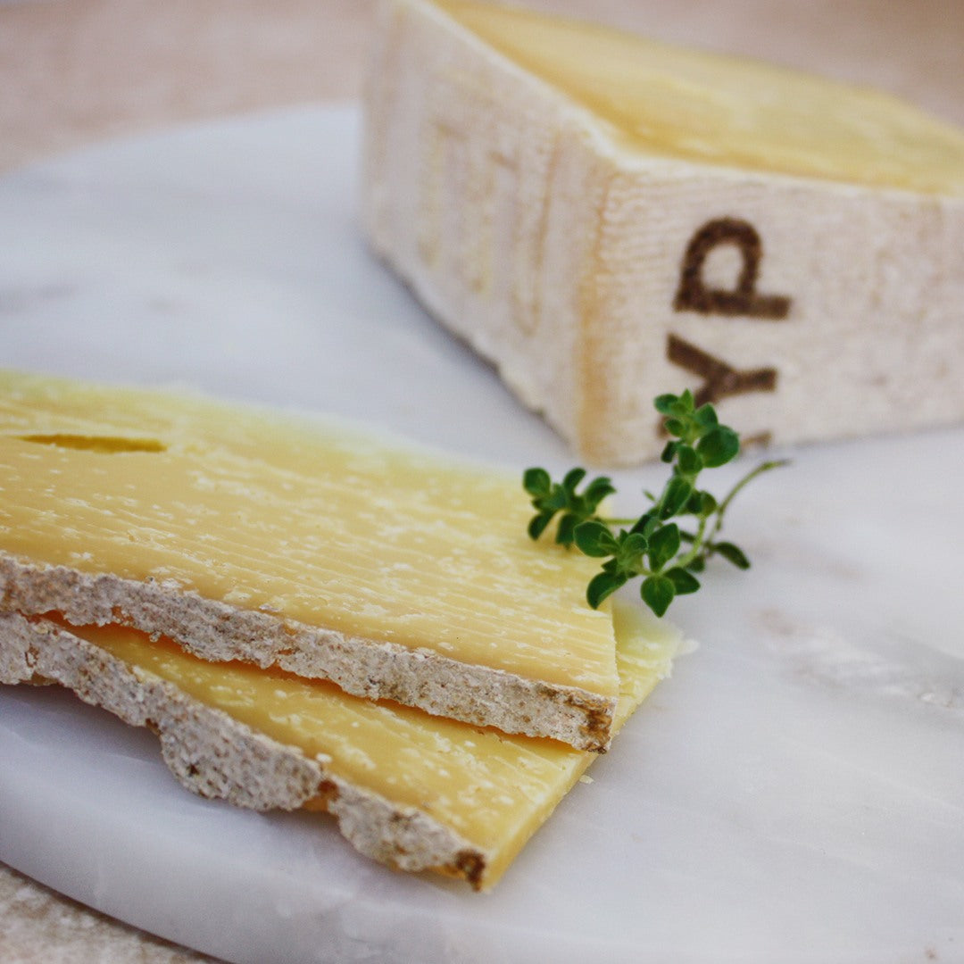 Remeker Gouda - Kaasfort