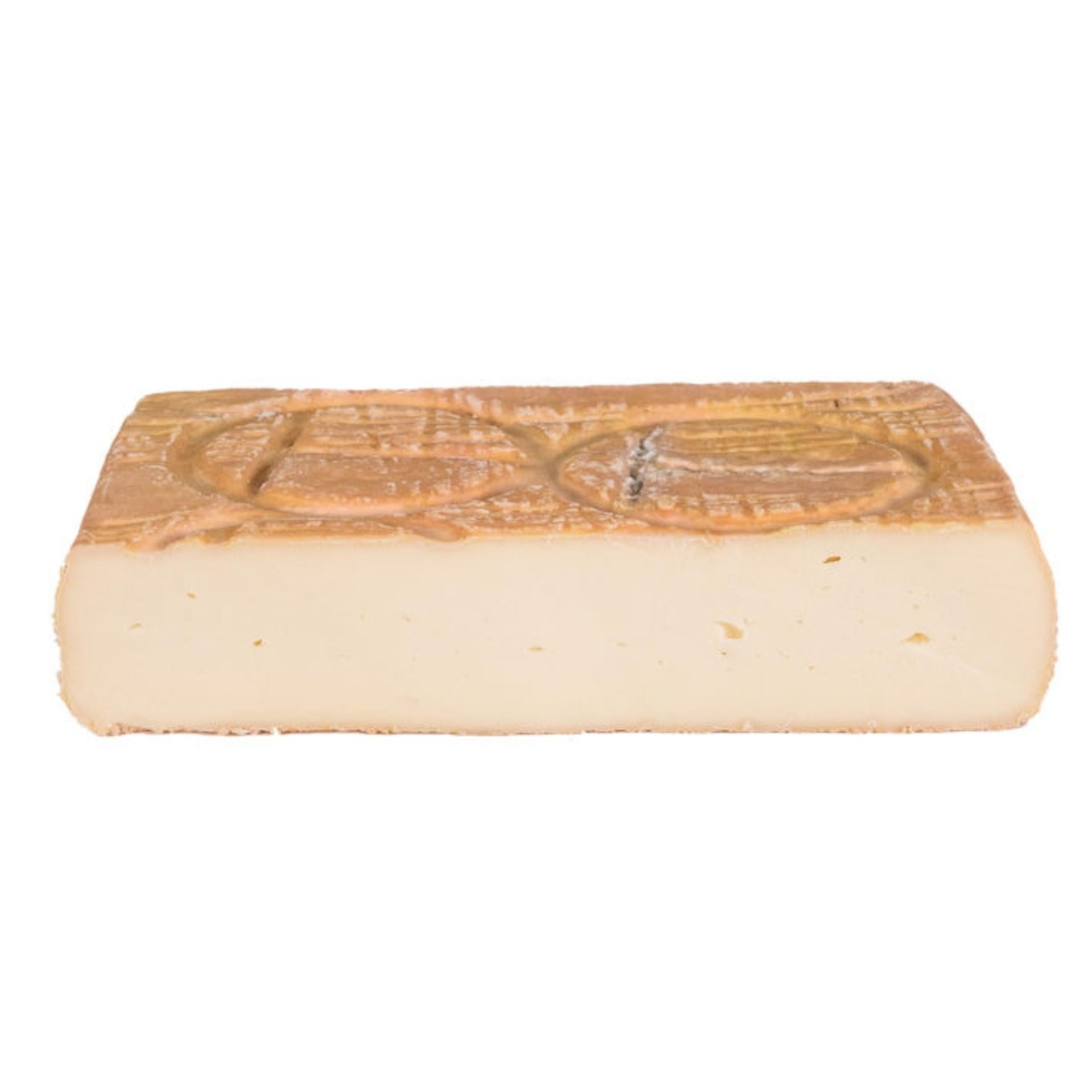 Whole block of Taleggio DOP cheese