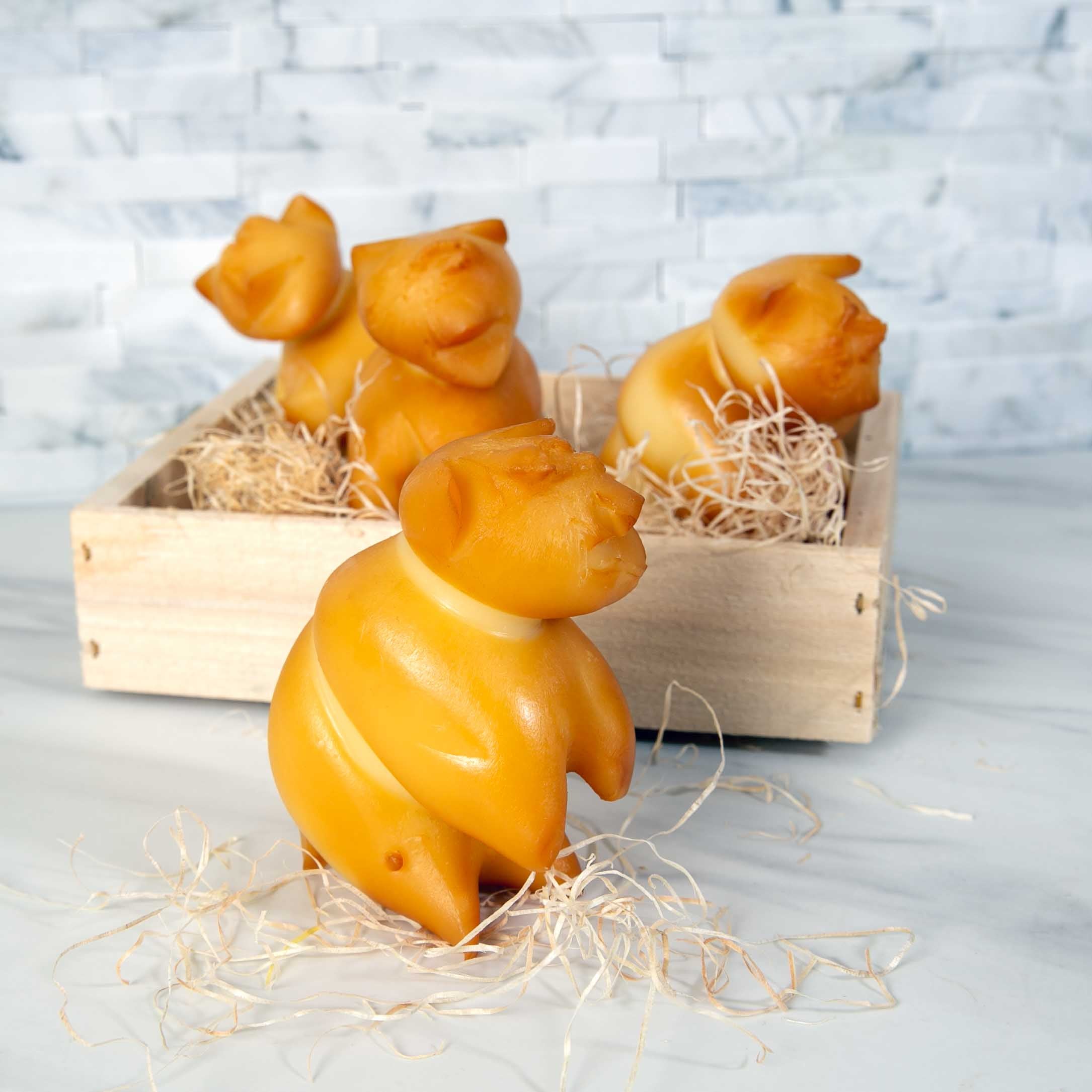 Scarmorza Pigs elastic cheese in the shape of a pig