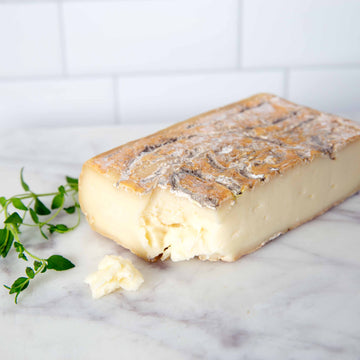 Taleggio DOP cheese on marble board